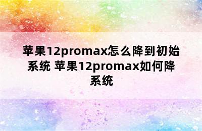 苹果12promax怎么降到初始系统 苹果12promax如何降系统